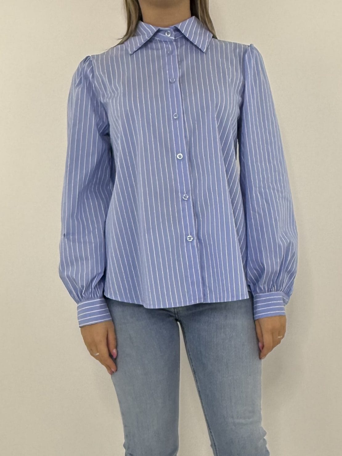 Camicia fiocchi posteriori gessata